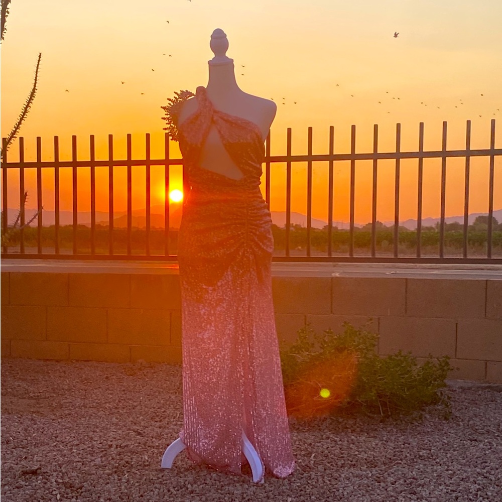 Elegant Pink Sequin Gown